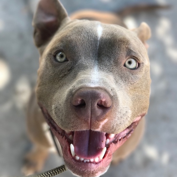 Hi!! I’m Priscilla! - Picture 7 of 8